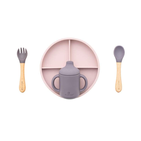 5 Piece Pink Silicone Feeding Set