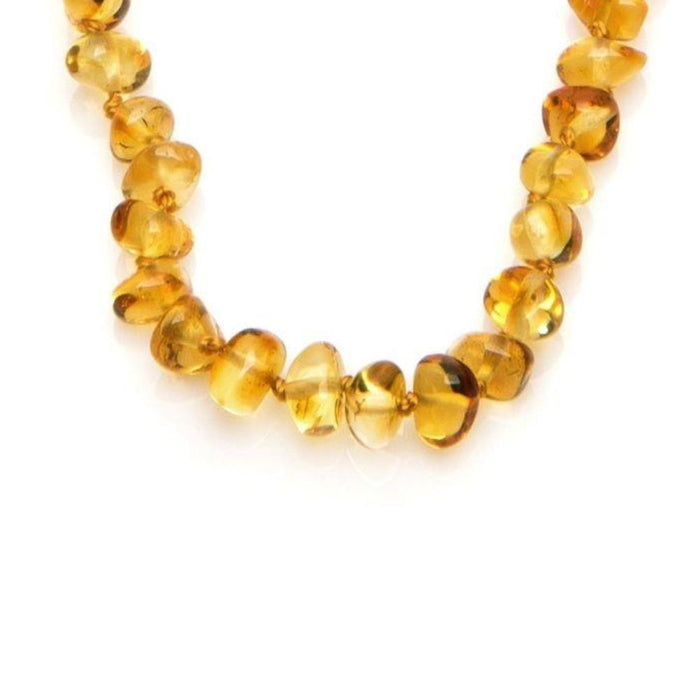 Colar de Ambar para Bebé Opalook Mel com Rosca 32cm