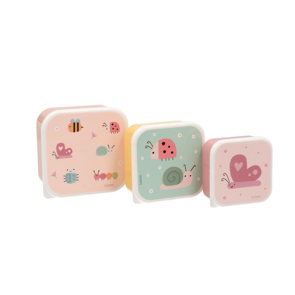 Juego de 3 cajas de insectos