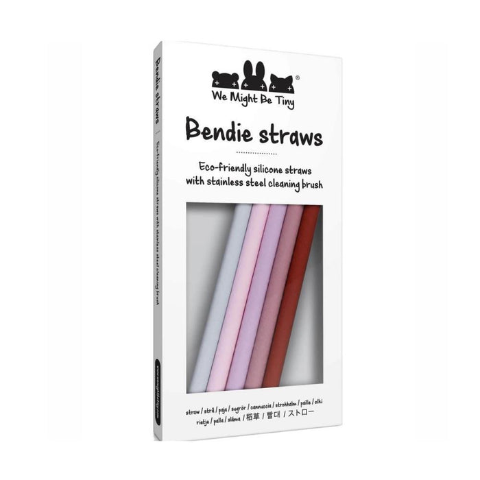 5 Palhinhas em Silicone We Might Be Tiny Earth&Bloom