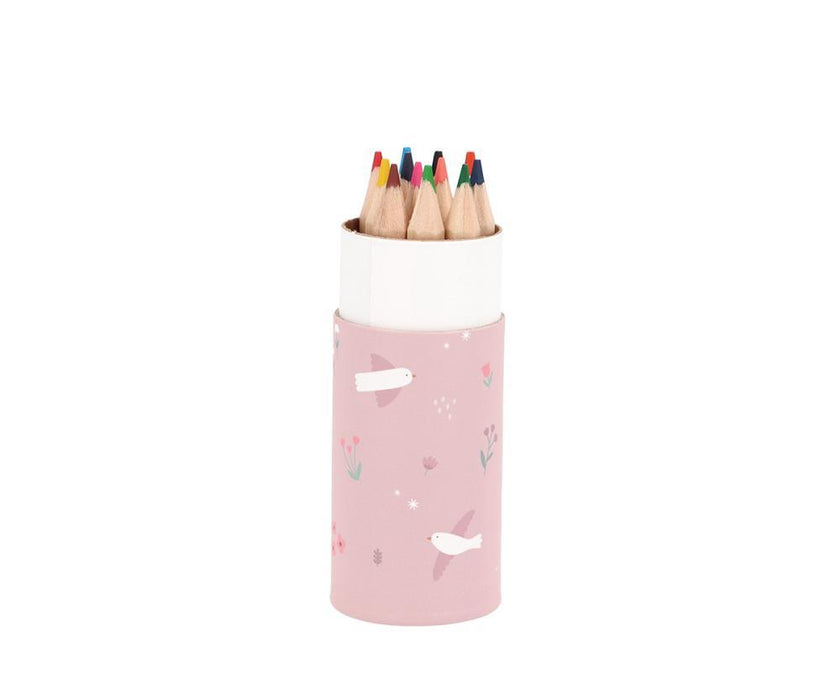 Tubo com 12 Lápis Tutete Blossom Birds
