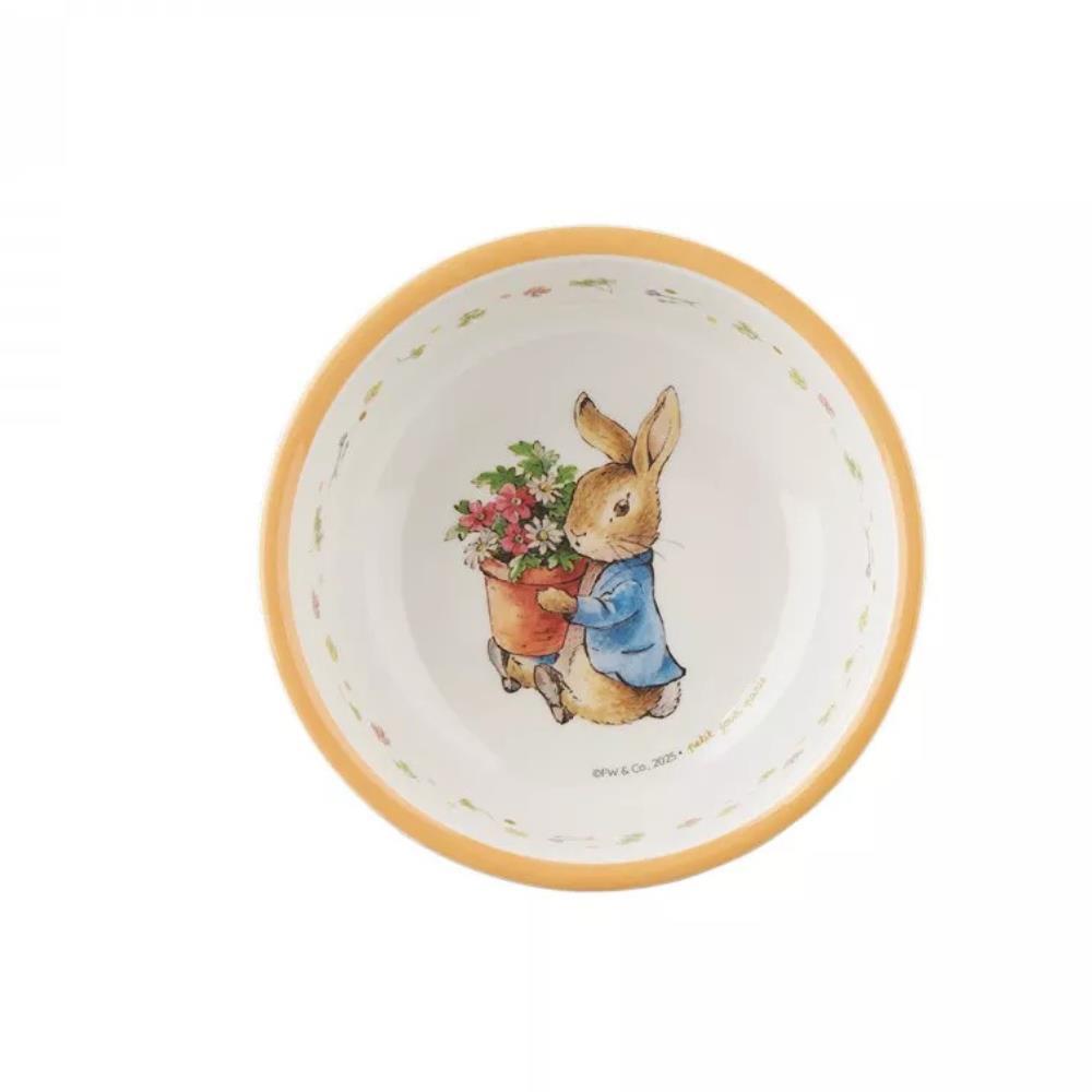 Taça em Melamina Peter Rabbit Alperce 250ml