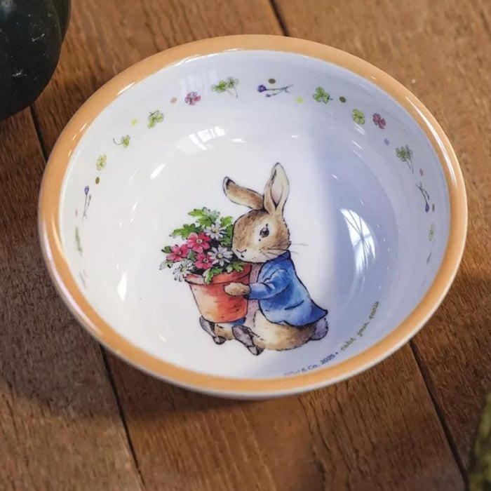 Taça em Melamina Peter Rabbit Alperce 250ml