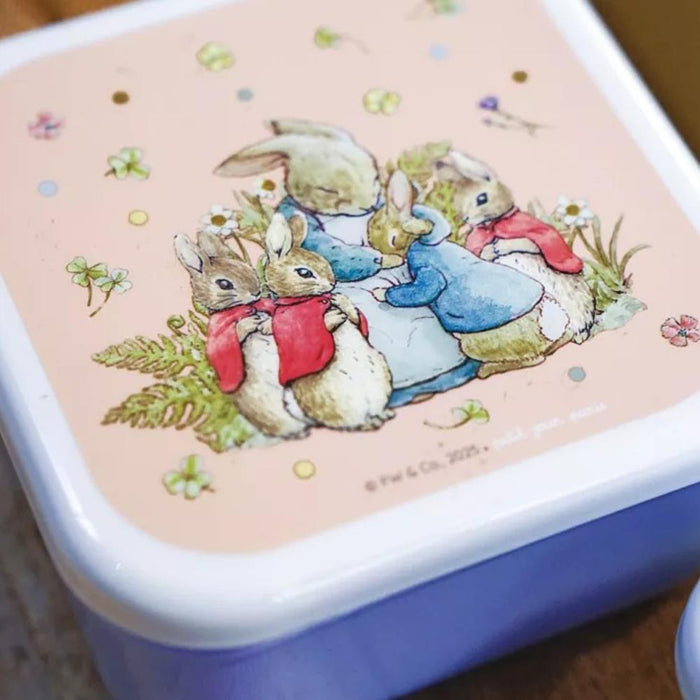 3 Caixas Lancheiras Peter Rabbit Flores Branco