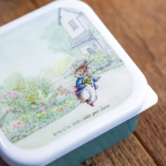 3 Caixas Lancheiras Peter Rabbit Flores Branco