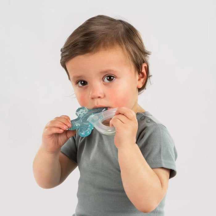 Mordedor de Frio Reer Bite&Cool