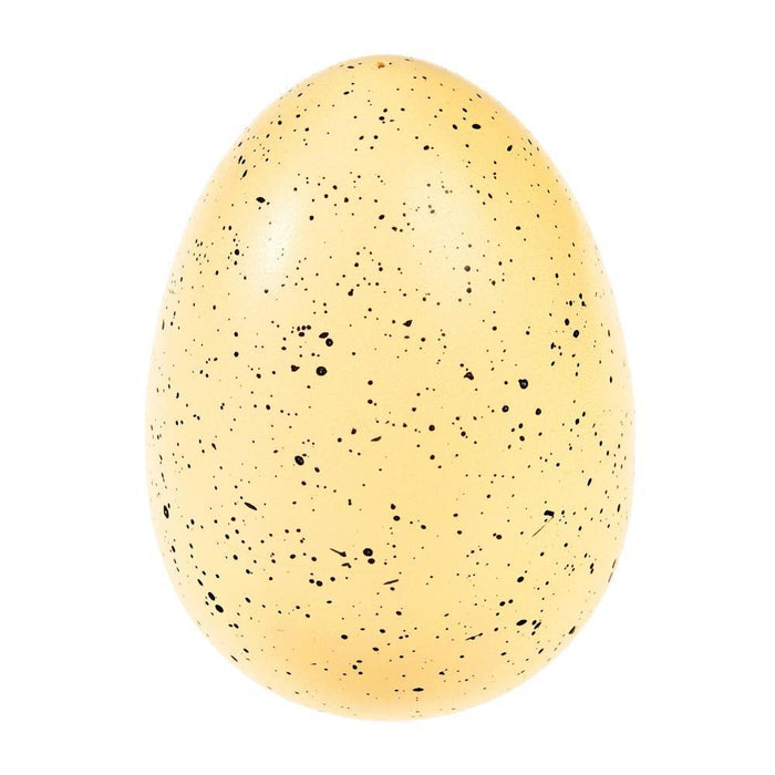 Ovo de Tubarão XL que Cresce na Água