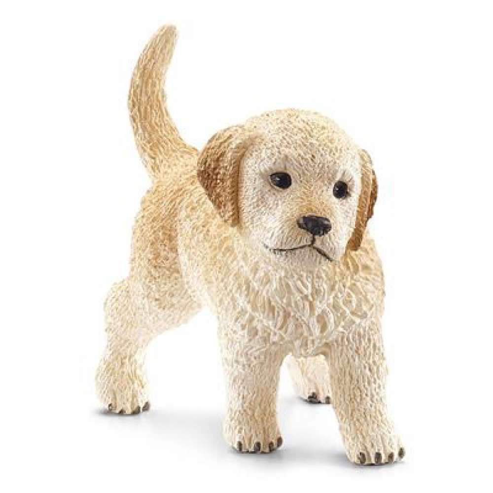 Golden Retriever Breeds