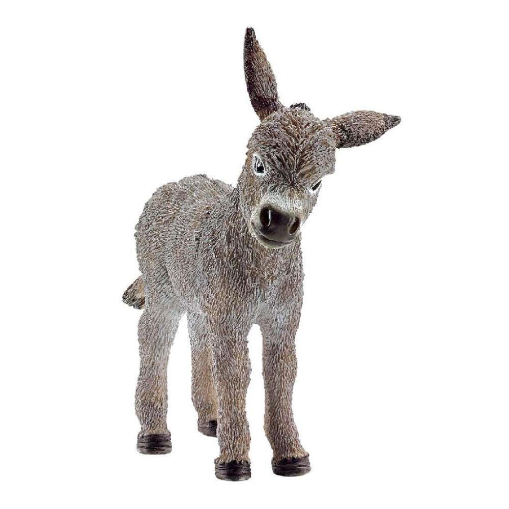 Donkey Colt