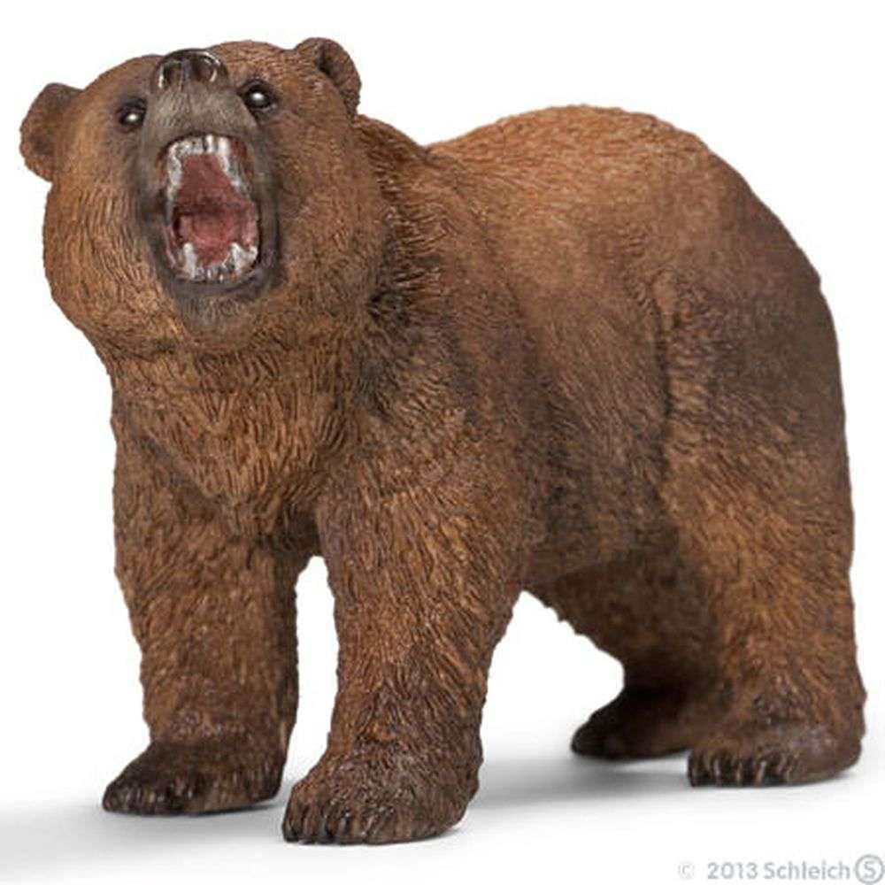 Urso Grizzly
