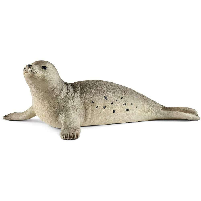 Seal