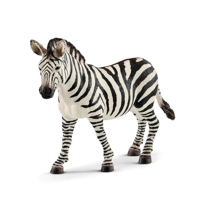 Zebra Fêmea