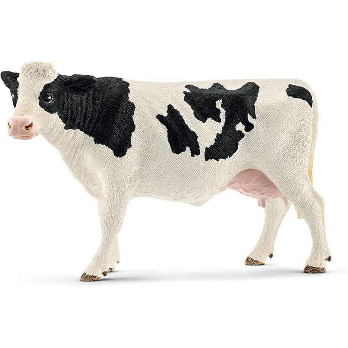 Holstein cow