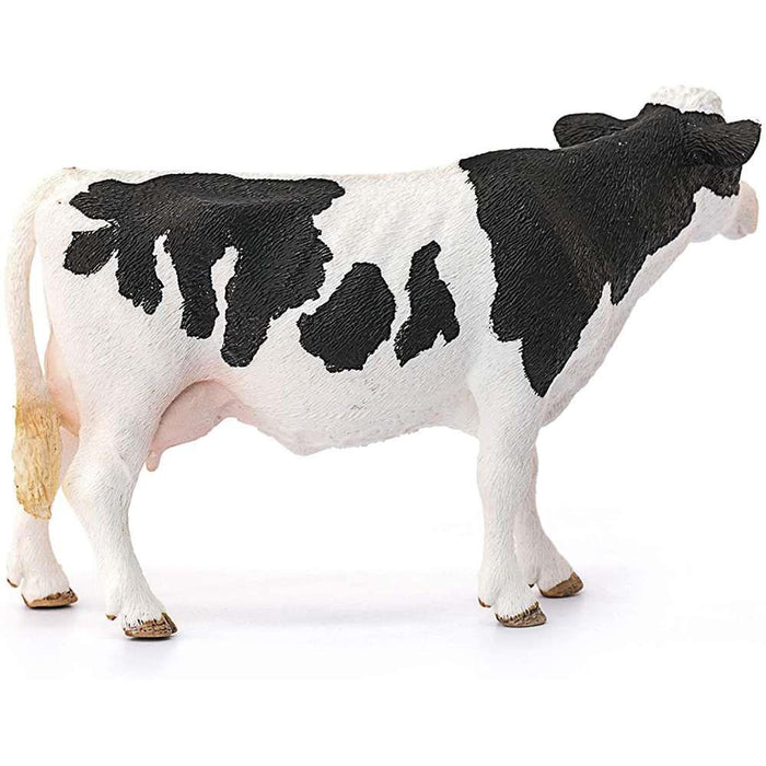 Holstein cow