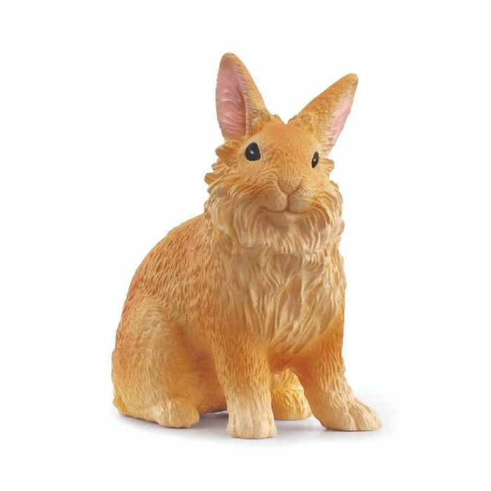 Lion Head Rabbit
