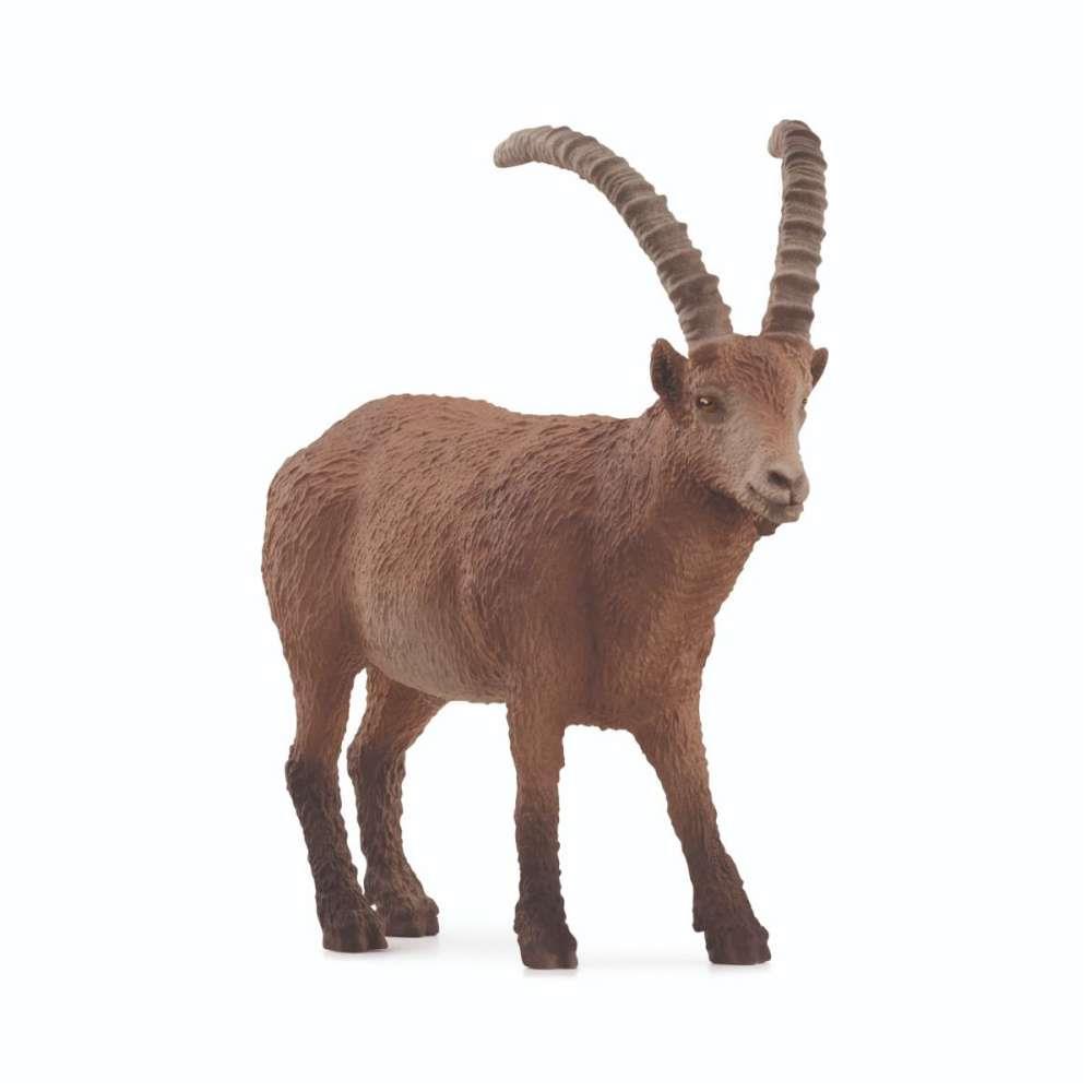 Cabra Montanhesa