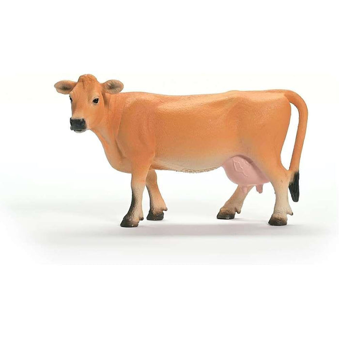 Jersey Cow