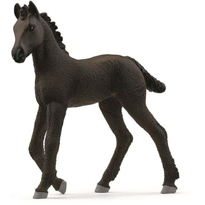 Friesian colt
