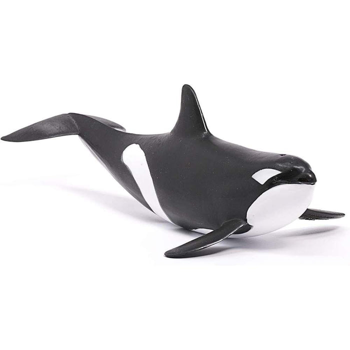 Orca