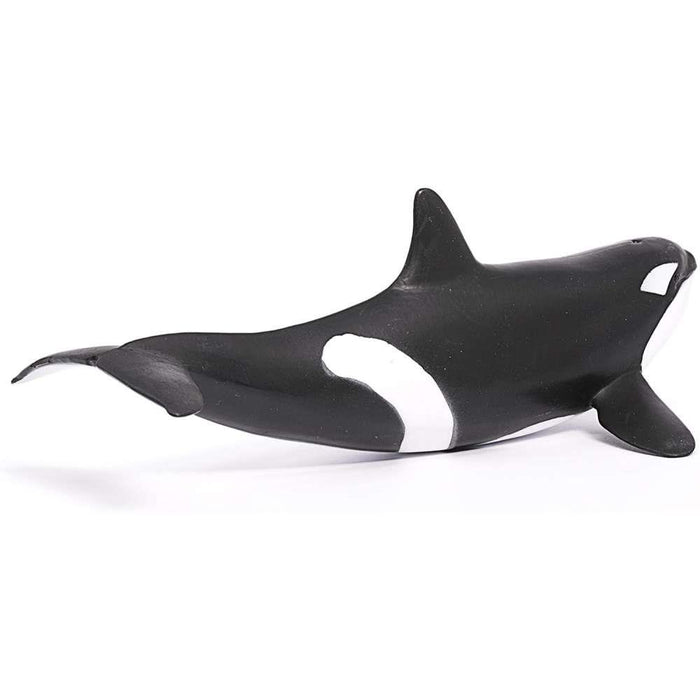 Orca