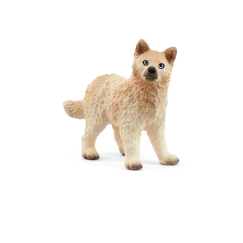 Cachorro de lobo ártico