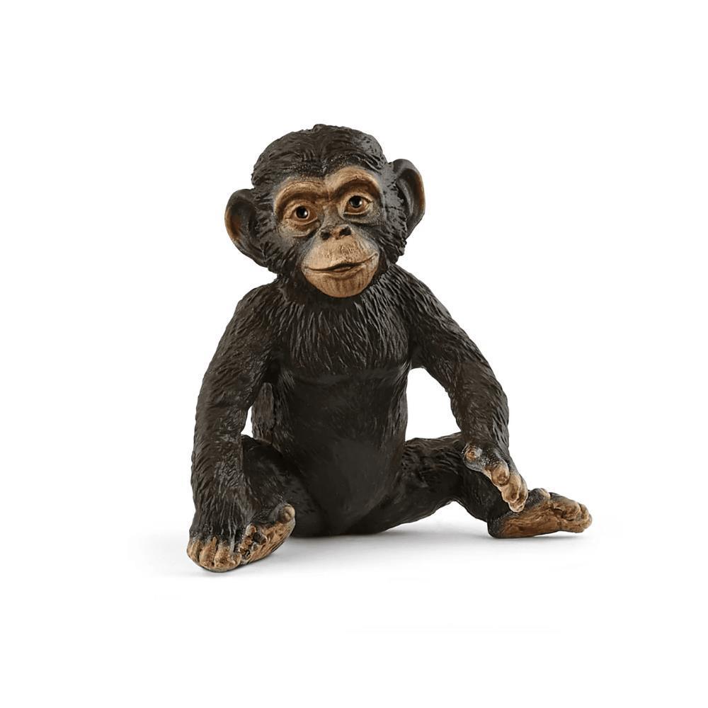 Cria de Chimpanzé