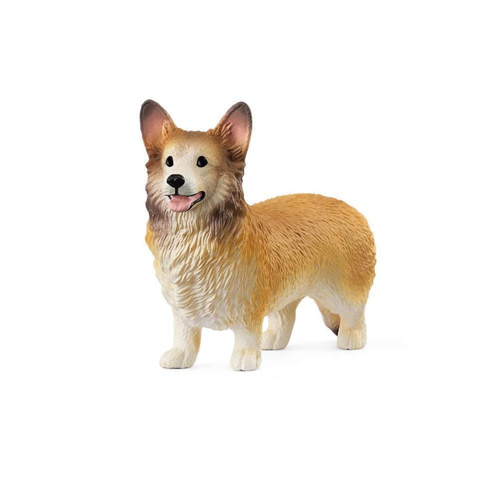 Corgi Galês