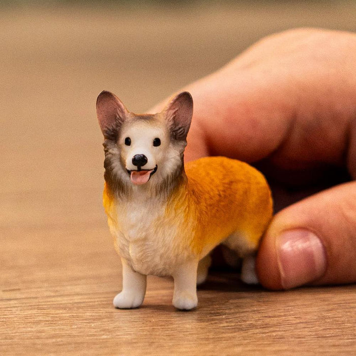 Corgi Galês