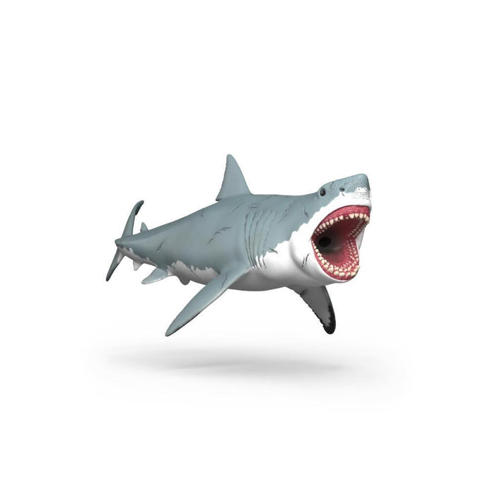 Tubarão Megalodonte