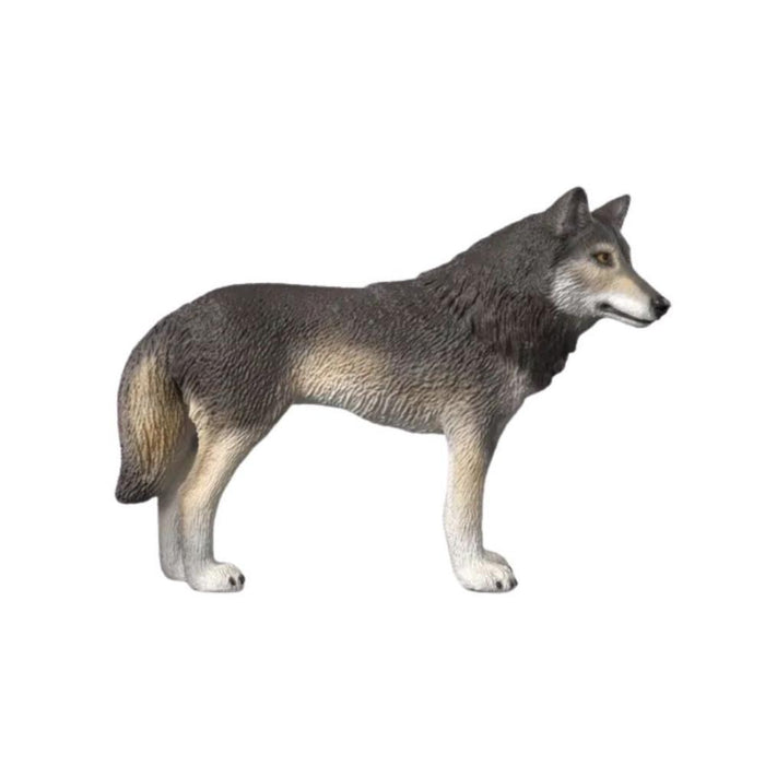 Lobo Americano