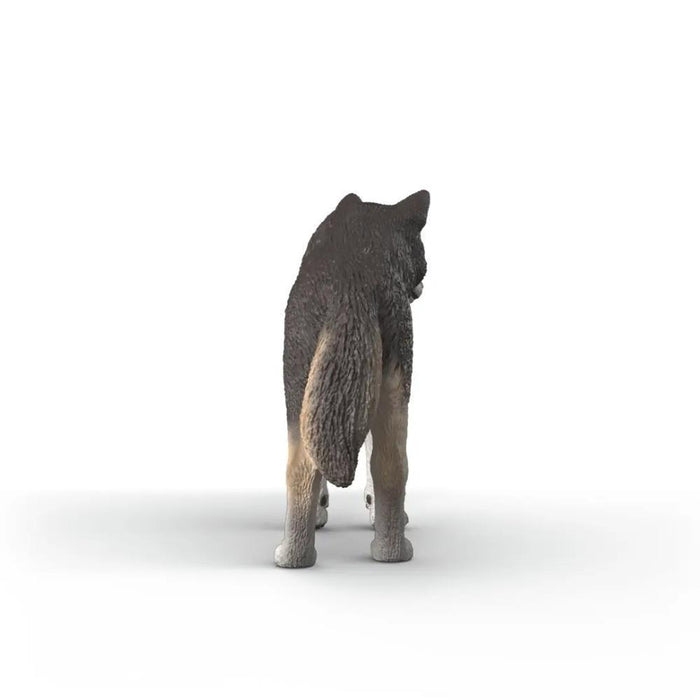 Lobo Americano