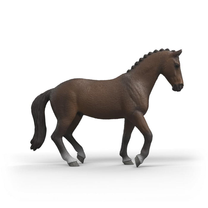 Cavalo Holandês KWPN