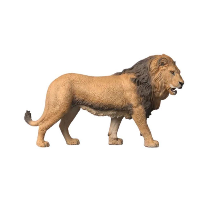 Leão Africano