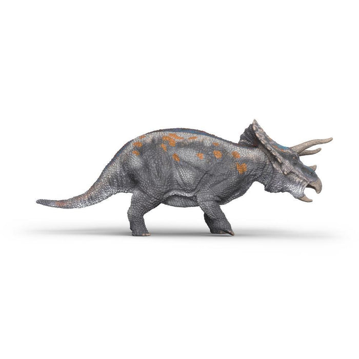 Triceratops