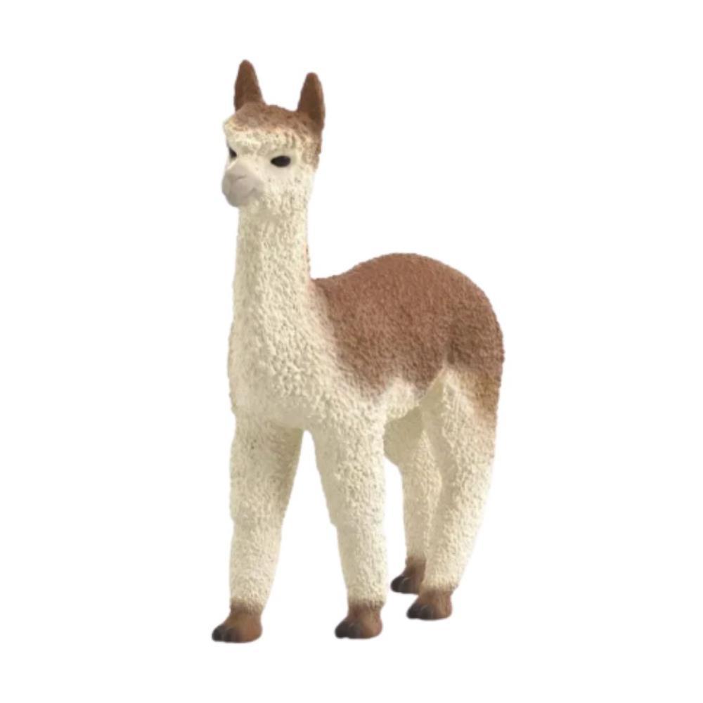 Alpaca