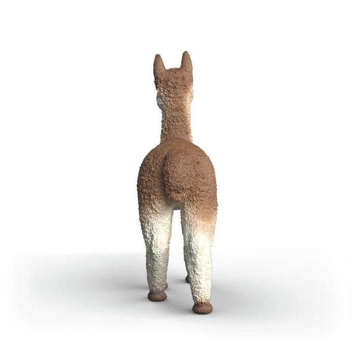 Alpaca