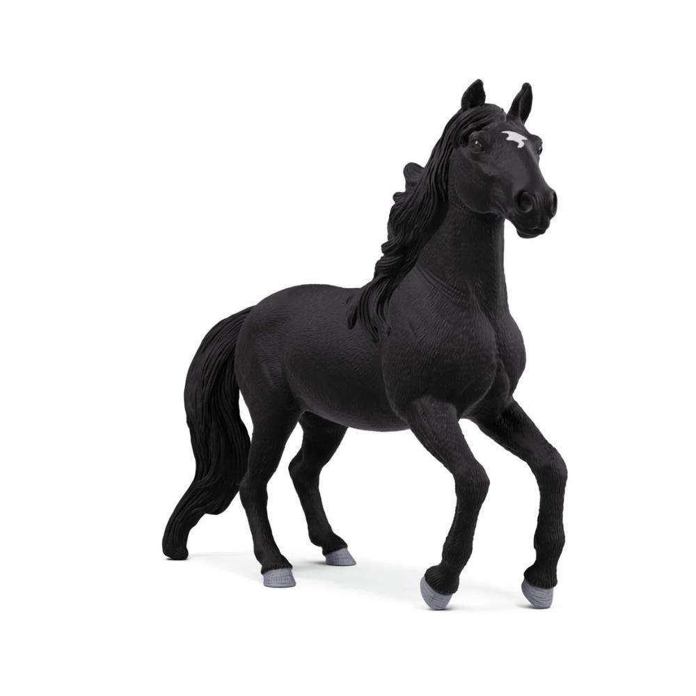 Cavalo Lusitano