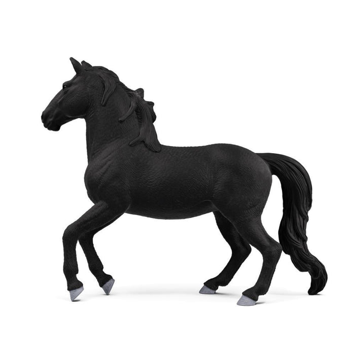 Cavalo Lusitano