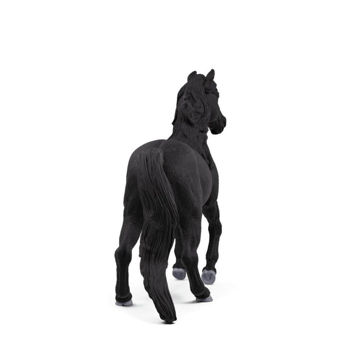 Cavalo Lusitano