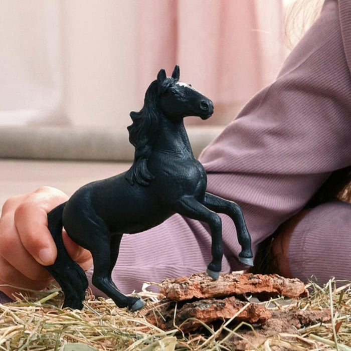 Cavalo Lusitano