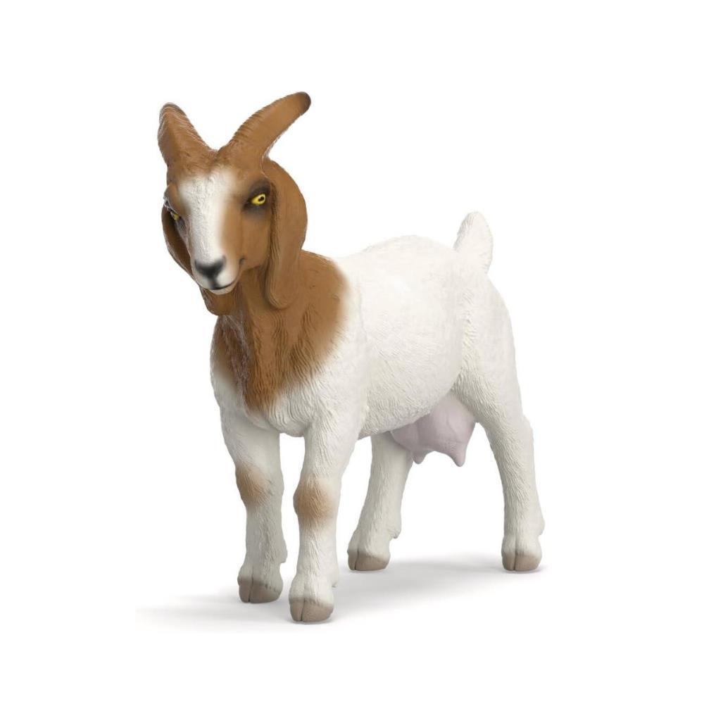 Cabra Boer