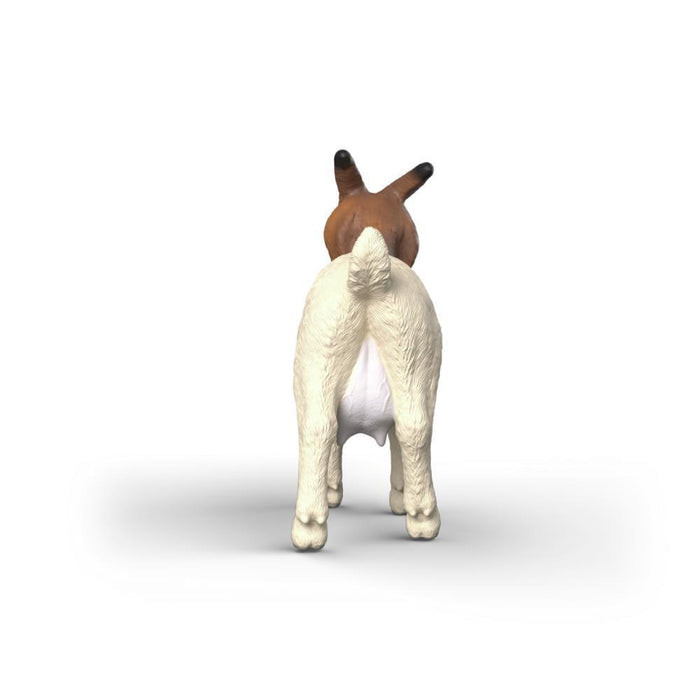 Cabra Boer