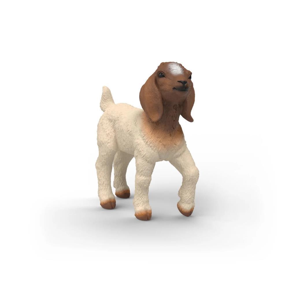 Cabra Boer Cria