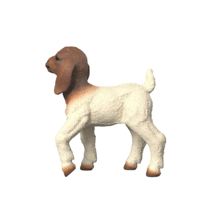 Cabra Boer Cria