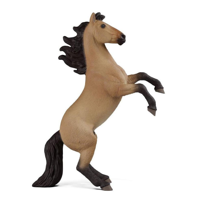 Cavalo Mustang
