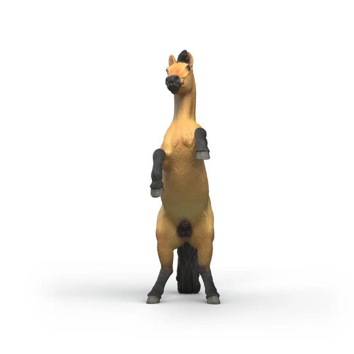 Cavalo Mustang
