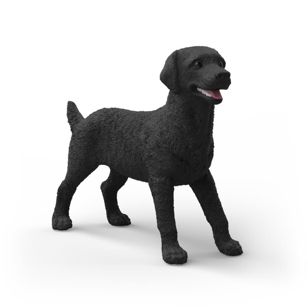 Labrador Retriever Preto Fêmea