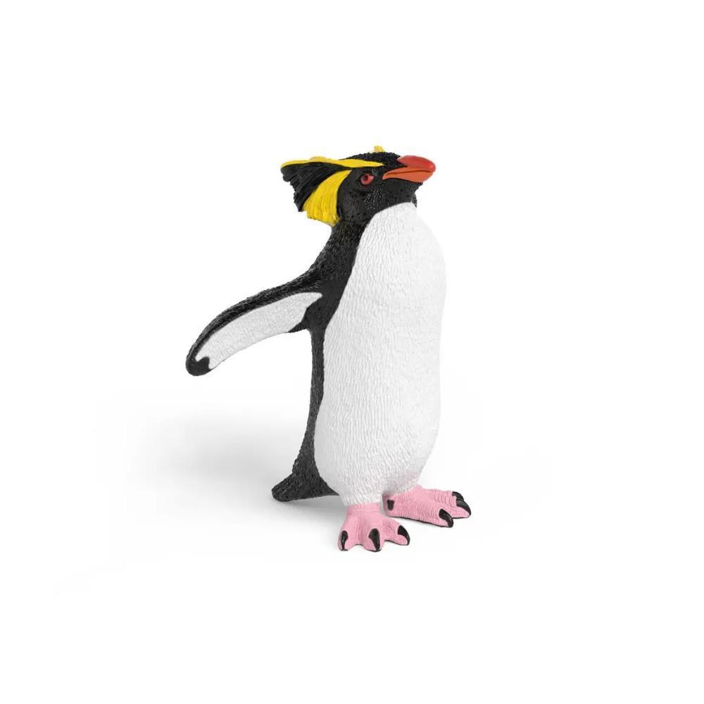 Southern Rockhopper Penguin