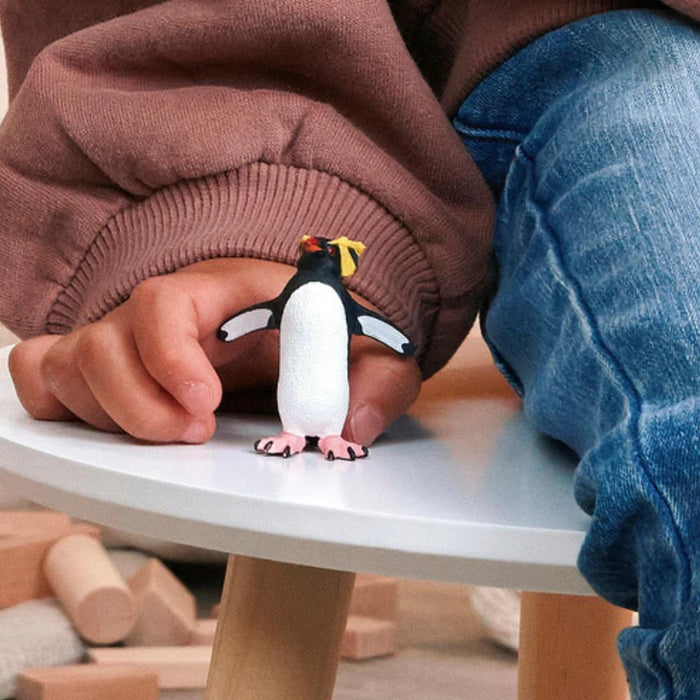 Pinguim Saltador de Rochas com Crista Amarela