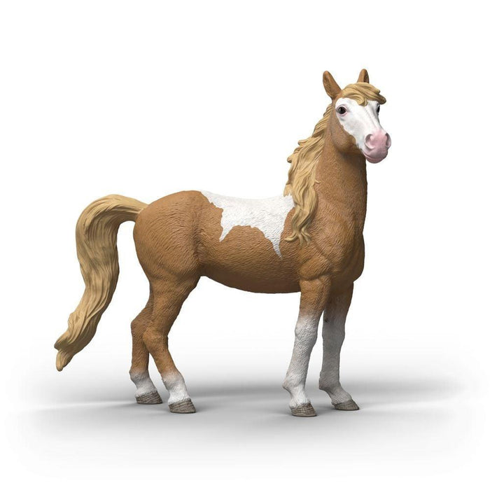 Égua Mustang